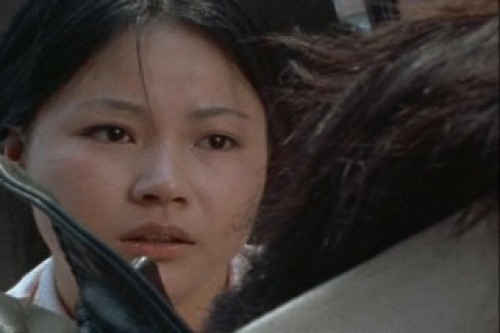 PDVD_031.jpg