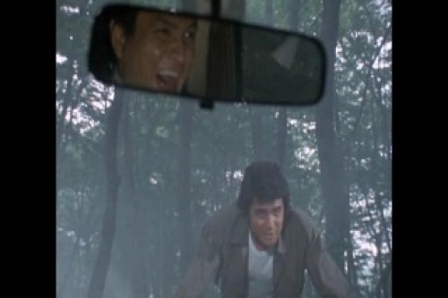 PDVD_046.jpg