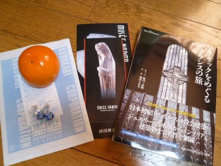 P11800415.jpg