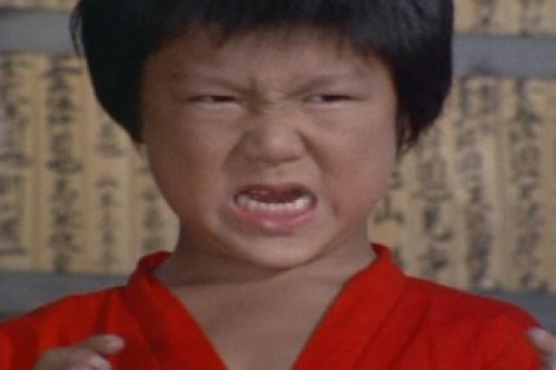 PDVD_012.jpg