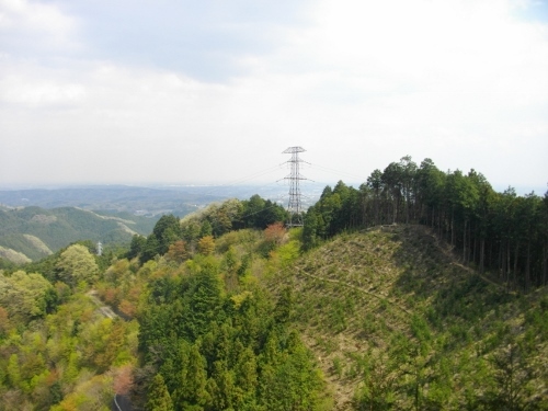 青梅丘陵青梅市内 (5) (500x375).jpg