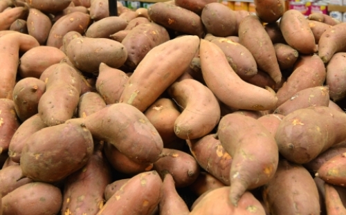 pict-感謝祭 5.jpg