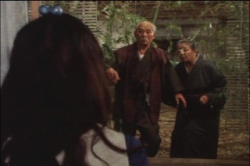 PDVD_028.jpg
