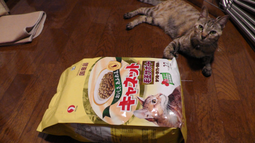 キャネットの毛玉ケア