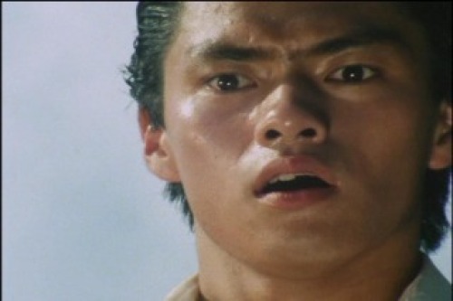 PDVD_028.jpg
