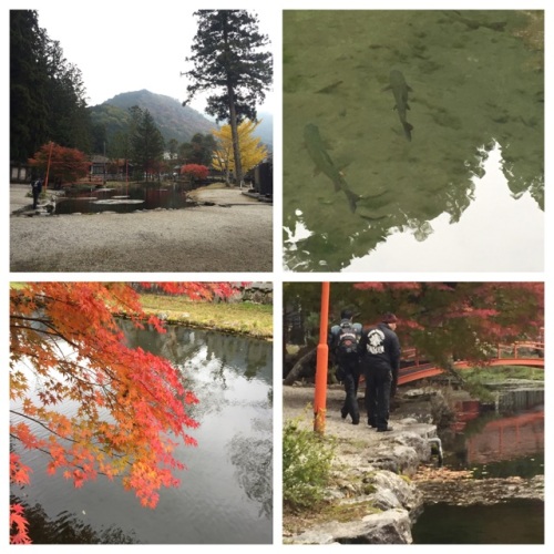 天川村　紅葉