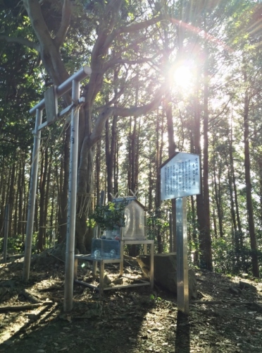 IMG_4098 (476x640).jpg