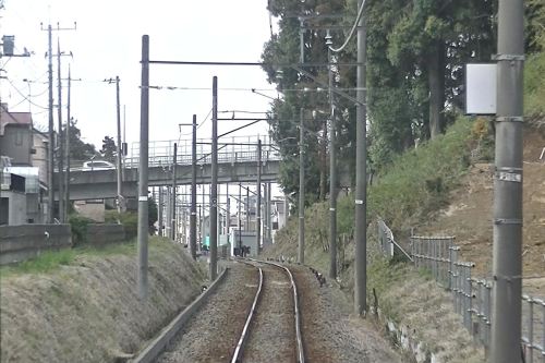 Front view of the railway with forest