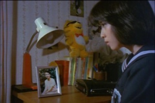 PDVD_005.jpg