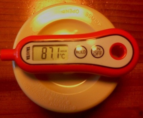 コウバイスープ 放置前