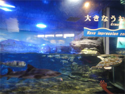 鴨川39.jpg