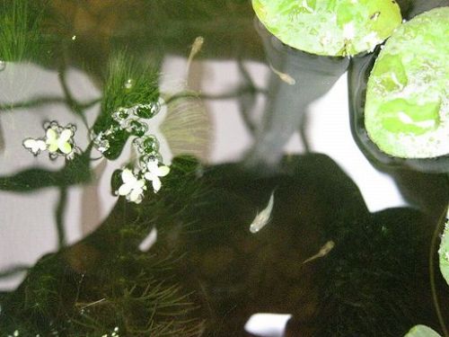 IMG_1937.JPG