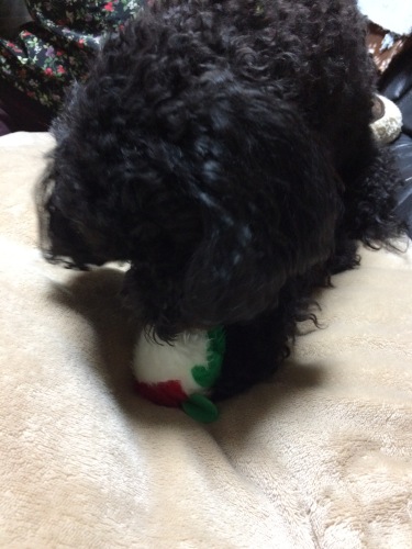 IMG_0639 - コピー.JPG