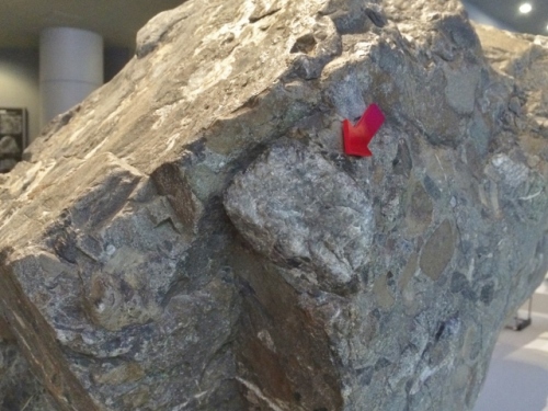 IMG_5717 (640x480).jpg