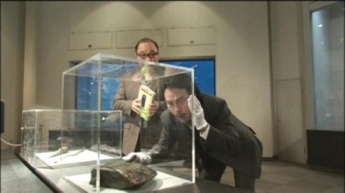 PDVD_008.jpg