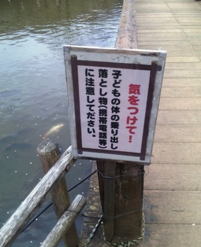 C:\fakepath\DVC00443 (1).jpg