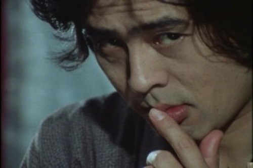 PDVD_055.jpg
