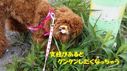20140413_150926.jpg
