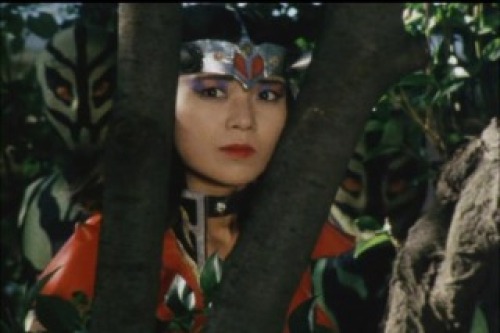 PDVD_005.jpg