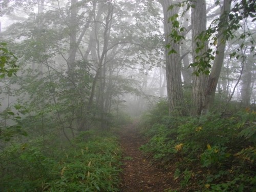 榛名外輪山氷室山 (500x375).jpg