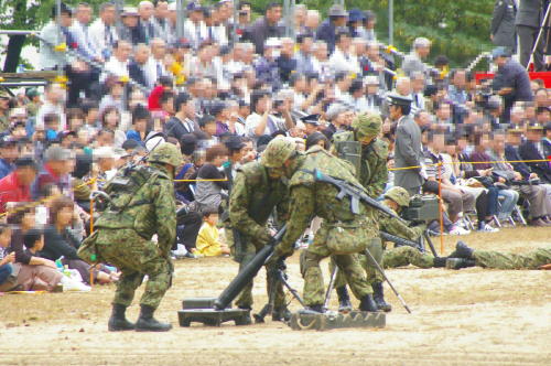 IMGP0431  CCC.JPG
