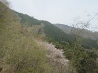 IMG_3458_R.JPG