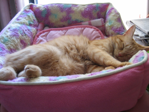 Sept. 19, 2015(17).JPG