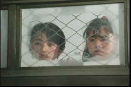 PDVD_040.jpg