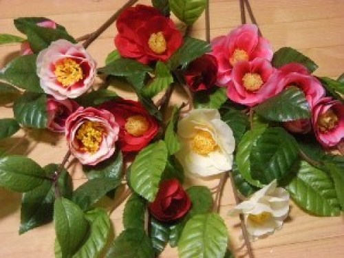 DSCN1412 (300x225).jpg