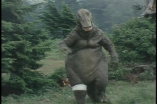 PDVD_031.jpg