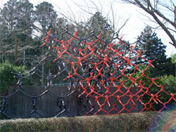 彫刻の森9.jpg