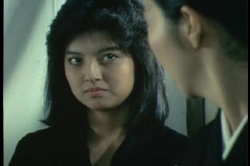 PDVD_005.jpg
