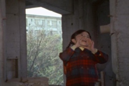 PDVD_011.jpg