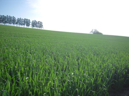 DSCN4637.JPG