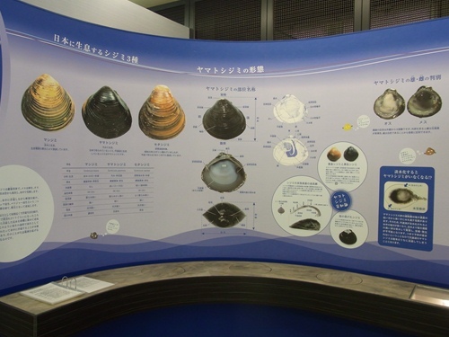R0014477_R.JPG