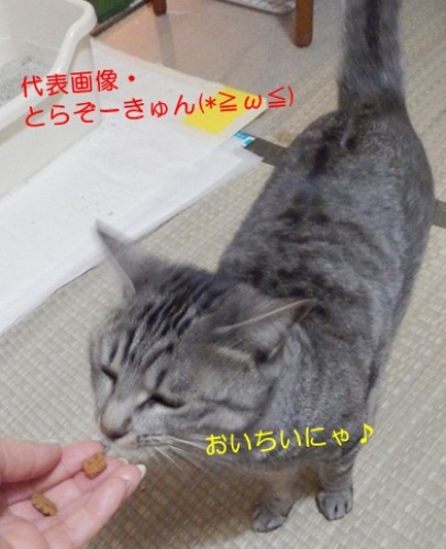 20141223_1.jpg