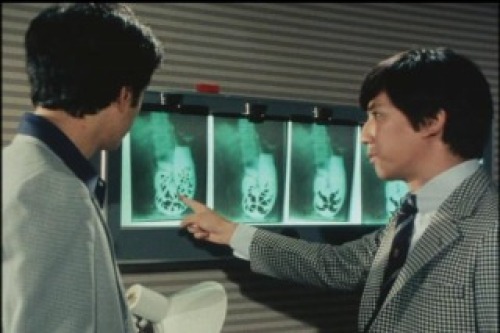PDVD_022.jpg