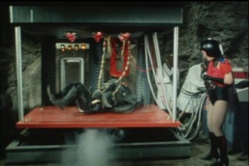 PDVD_003.jpg