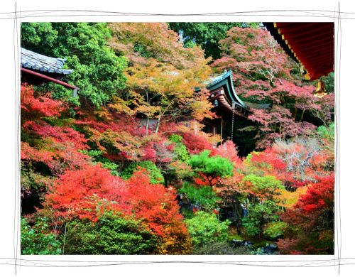 京都　毘沙門堂　紅葉