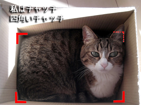 3'.jpg
