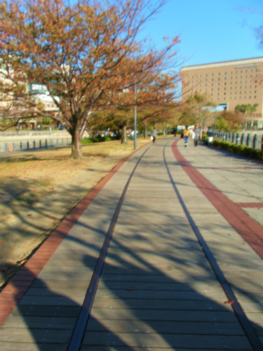 DSCF0365.jpg