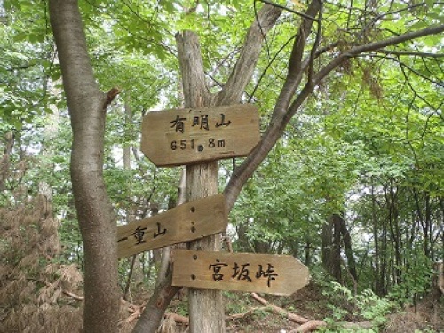 P9150075.JPG