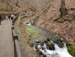 軽井沢34.jpg