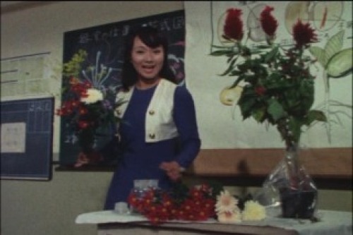 PDVD_015.jpg