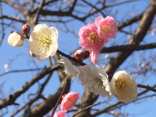 IMG_4546 (640x480).jpg