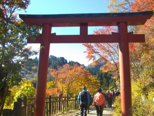 武蔵御嶽神社参道 (2).JPG