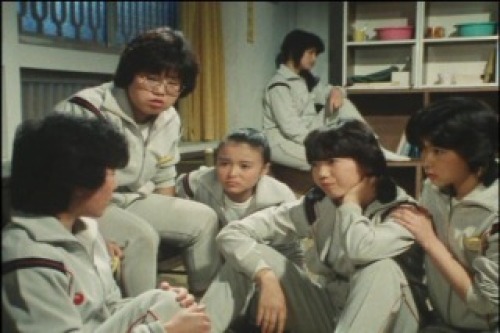 PDVD_012.jpg