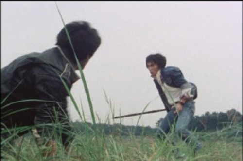 PDVD_063.jpg