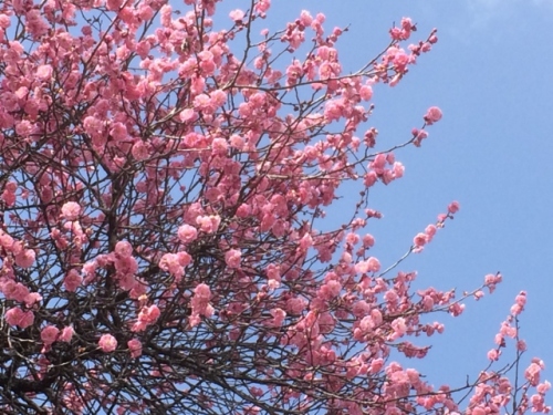 IMG_4515 (640x480).jpg