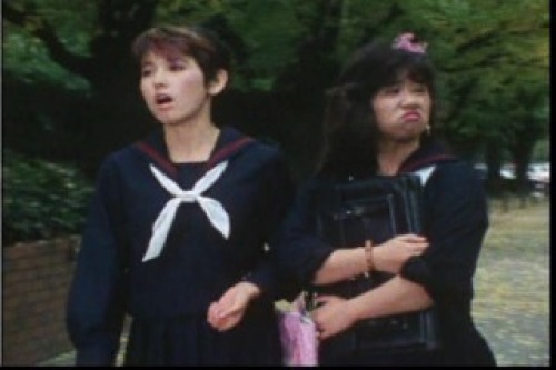 PDVD_017.jpg